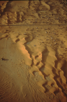 mauritania-nouakchott-01-021