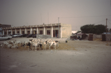 mauritania-01-004
