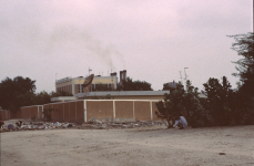mauritania-02-006