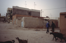 mauritania-03-014