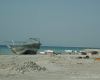 m29-bahrain-16-012 m29-bahrain-16-012