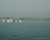 m29-bahrain-19-005 m29-bahrain-19-005