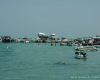 m29-bahrain-20-002 m29-bahrain-20-002