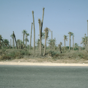 m29-bahrain-13-006