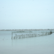 m29-bahrain-15-009
