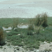 m29-bahrain-15-011
