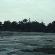 m29-bahrain-18-002