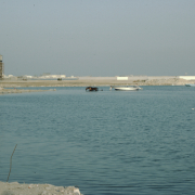 m29-bahrain-19-007