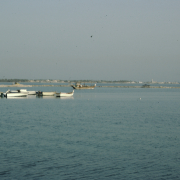 m29-bahrain-19-009