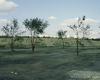 m11-poland-01-035
