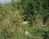 m11-poland-01-045