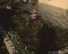 m11-poland-03-046