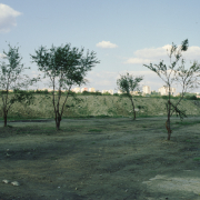 m11-poland-01-035