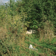 m11-poland-01-045