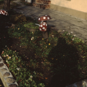 m11-poland-03-046