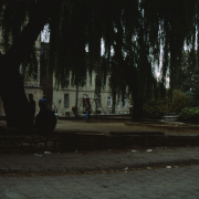 m12-poland-21-009