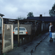 m12-poland-14-001
