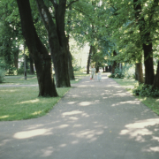 m12-poland-18-011
