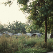 m12-poland-19-003