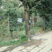 m12-poland-19-007
