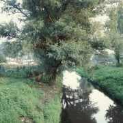 m12-poland-19-010