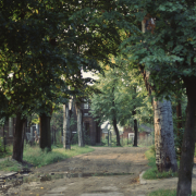 m12-poland-20-017