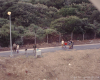 m16-south-africa-03-003