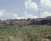 m16-south-africa-06-043