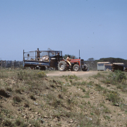 m16-south-africa-12-026