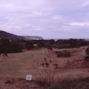 m16-south-africa-13-035