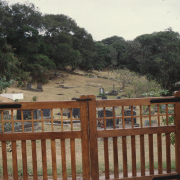 m16-south-africa-13-038