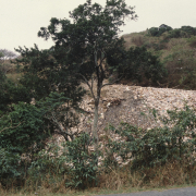 m16-south-africa-13-040