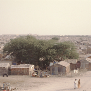 m16-mauritania-01-025