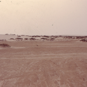m16-mauritania-02-011