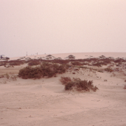 m16-mauritania-02-013