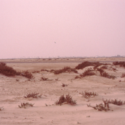 m16-mauritania-02-014