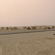 m16-mauritania-02-046