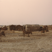m16-mauritania-02-048