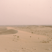 m16-mauritania-02-058