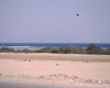 m18-red-sea-04-053 m18-red-sea-04-053