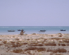 m18-red-sea-05-022 m18-red-sea-05-022