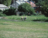 m26-poland-02-001
