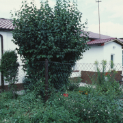 m26-poland-03-020