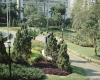 m26-latin-america-03-004