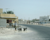 m29-bahrain-05-010 m29-bahrain-05-010