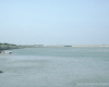 m29-bahrain-06-007 m29-bahrain-06-007