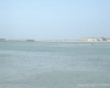 m29-bahrain-06-020 m29-bahrain-06-020