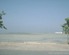 m29-bahrain-06-029 m29-bahrain-06-029