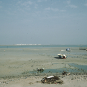 m29-bahrain-06-010