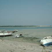 m29-bahrain-06-011